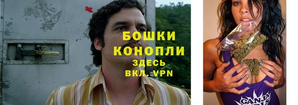 Альфа ПВП Каменка