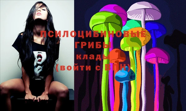 jwh Каменногорск