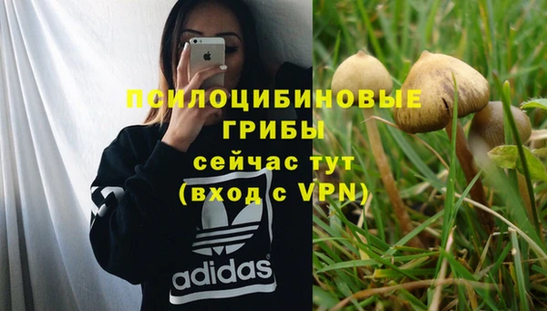 Альфа ПВП Каменка
