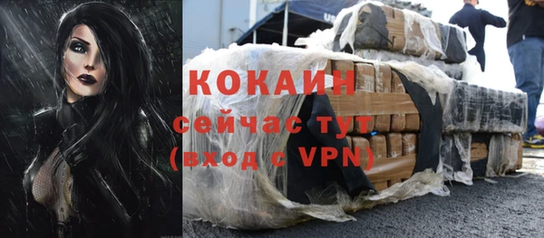 jwh Каменногорск