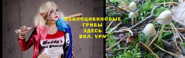jwh Каменногорск