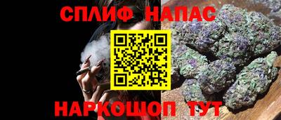 jwh Гатчина