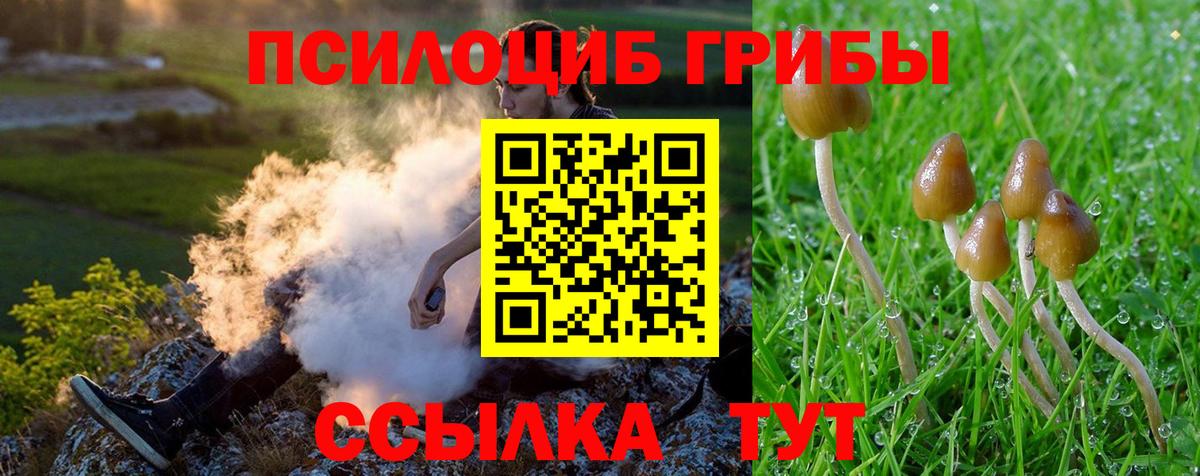 Псилоцибиновые грибы Psilocybine cubensis  Вход с VPN  Муром 