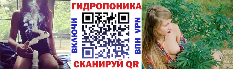 Бошки марихуана Bruce Banner  ссылка на мегу онион  Муром  купить закладку 
